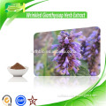 Pure Natural Pogostemonis Extract, Agastache Rugosa Extract Powder, Wrinkled Gianthyssop Herb Extract